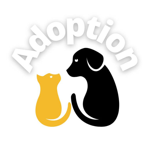 L’avantage d’adopter en refuge