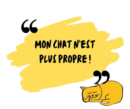 Mon chat n'est plus propre !