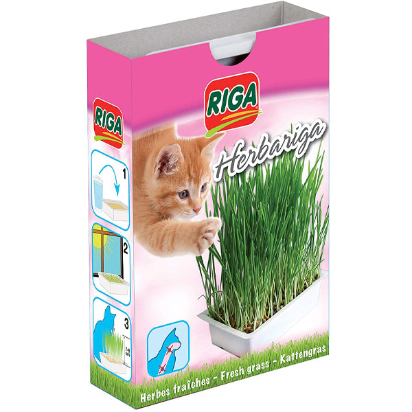 Herbe Fraiche à faire pousser Herbariga