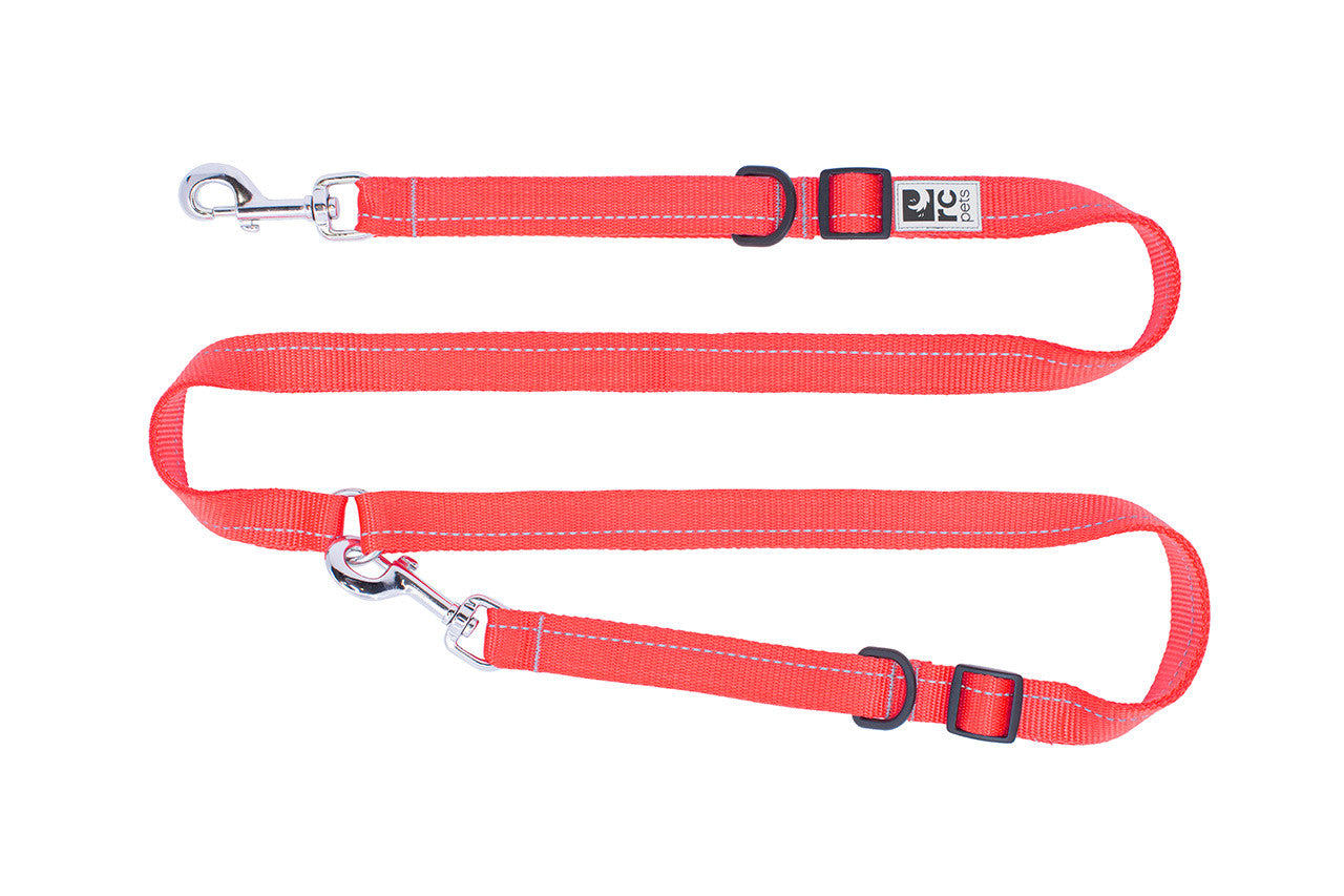 Laisse Active de base RCPets