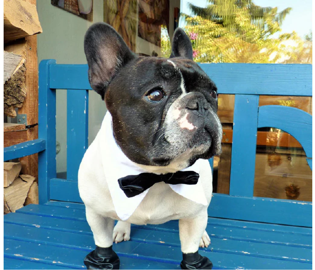 PawZ - Bottes imperméables en caoutchouc