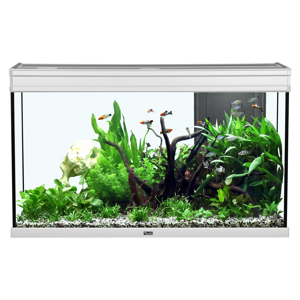 Aquarium Aquatlantis Elegance Expert