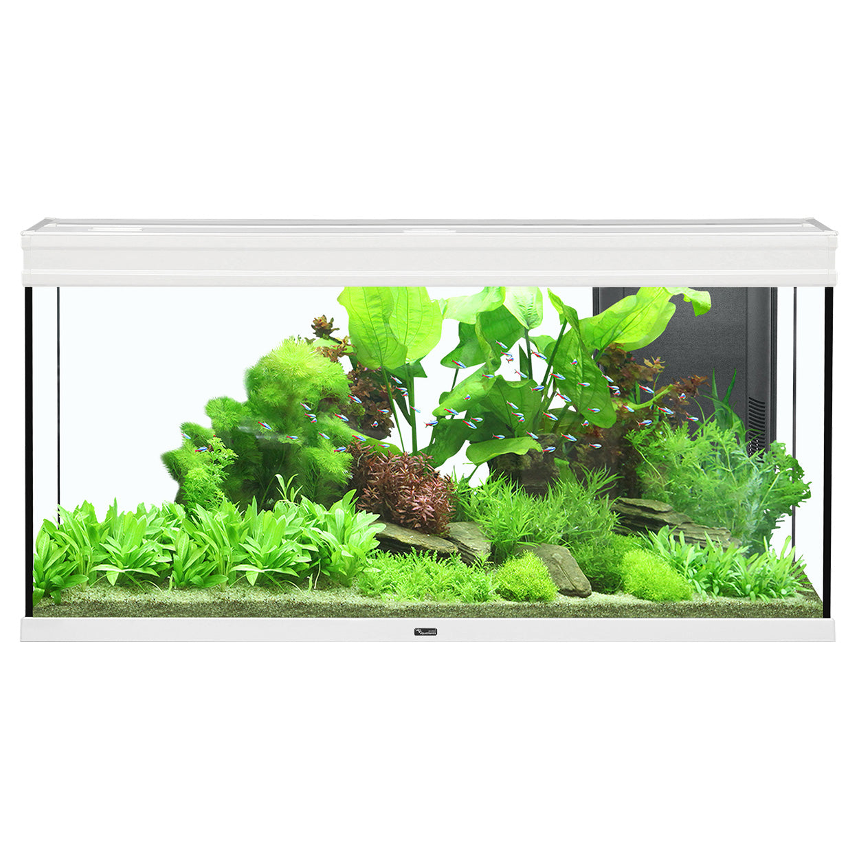 Aquarium Aquatlantis Elegance Expert