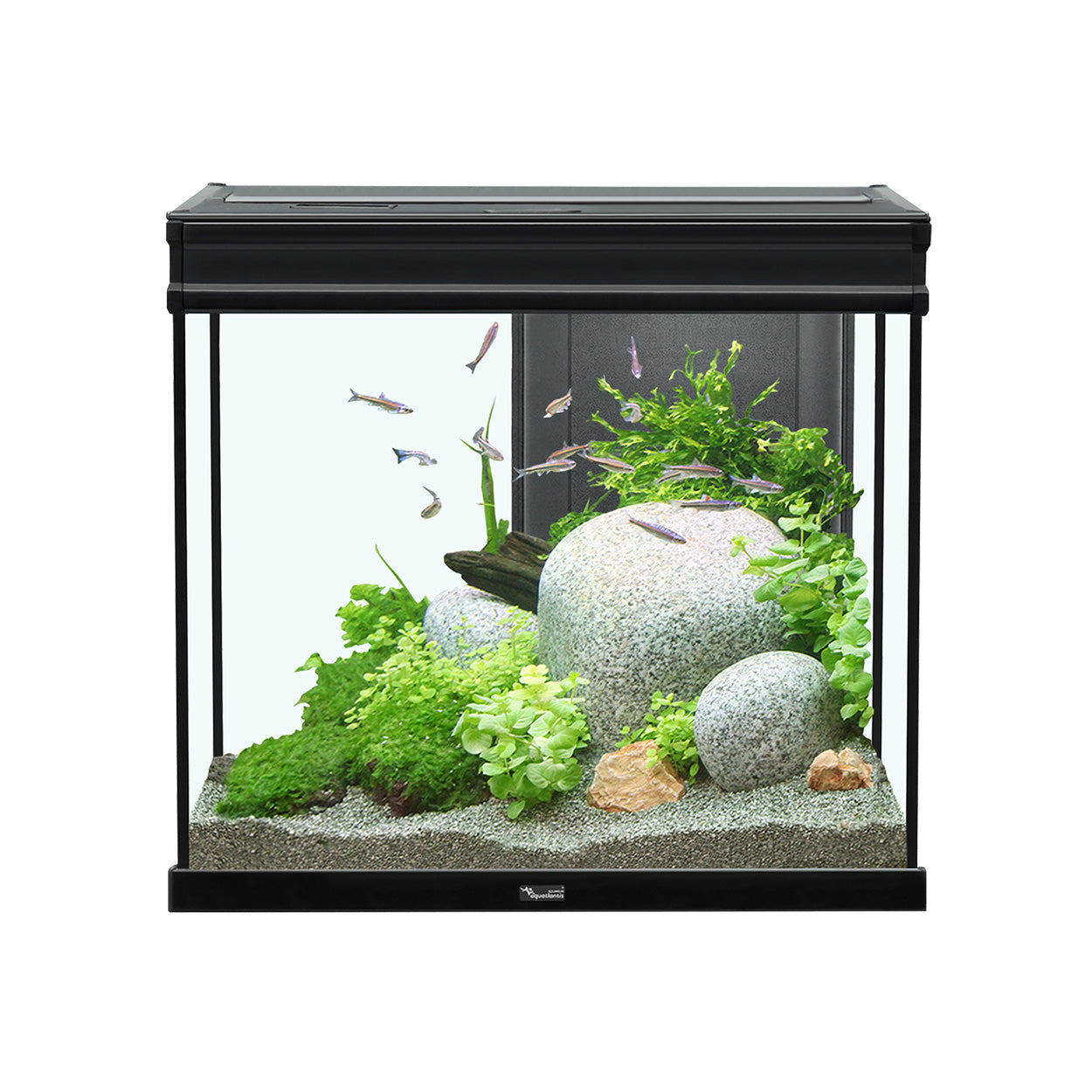 Aquarium Aquatlantis Elegance Expert