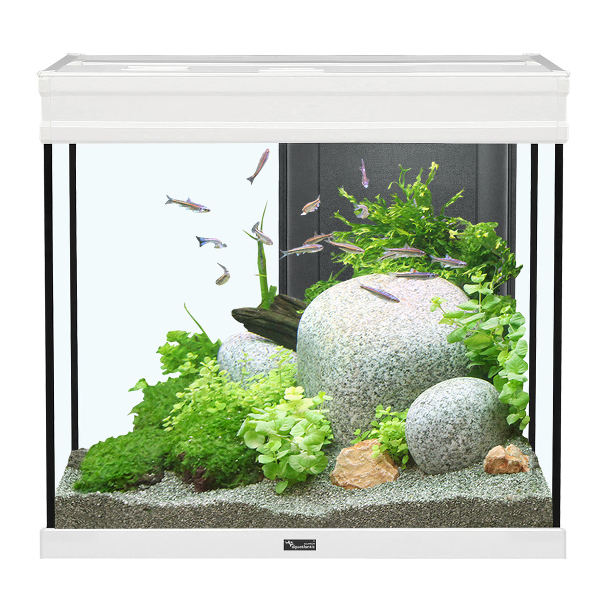 Aquarium Aquatlantis Elegance Expert