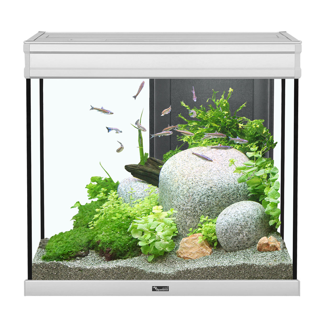 Aquarium Aquatlantis Elegance Expert