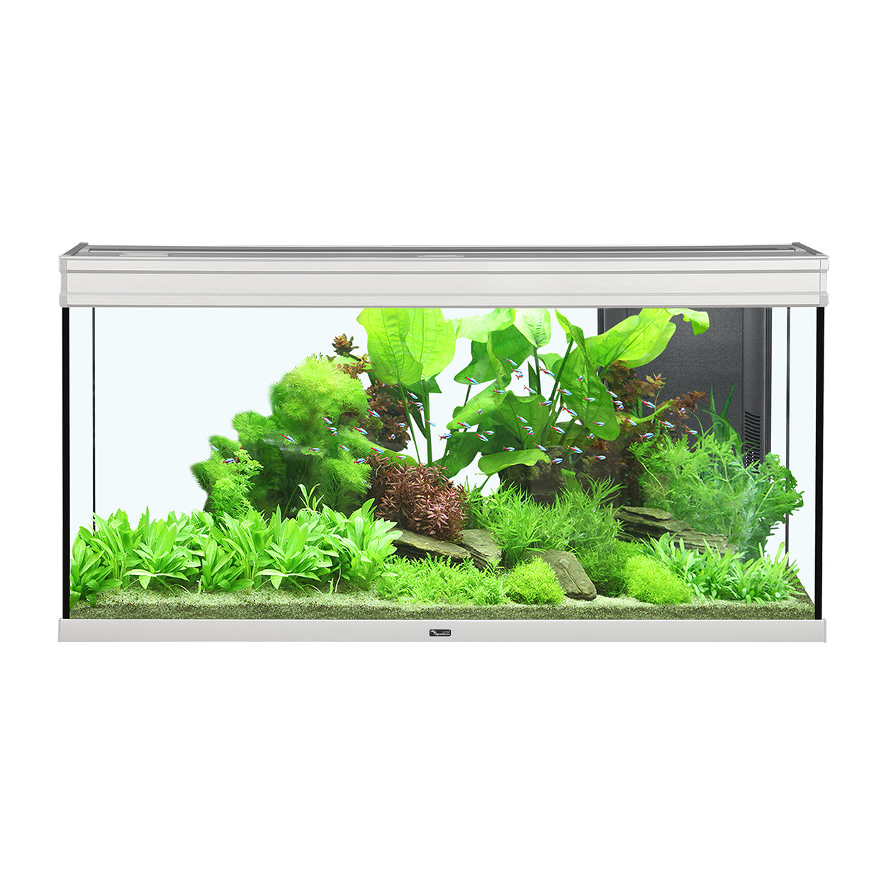 Aquarium Aquatlantis Elegance Expert