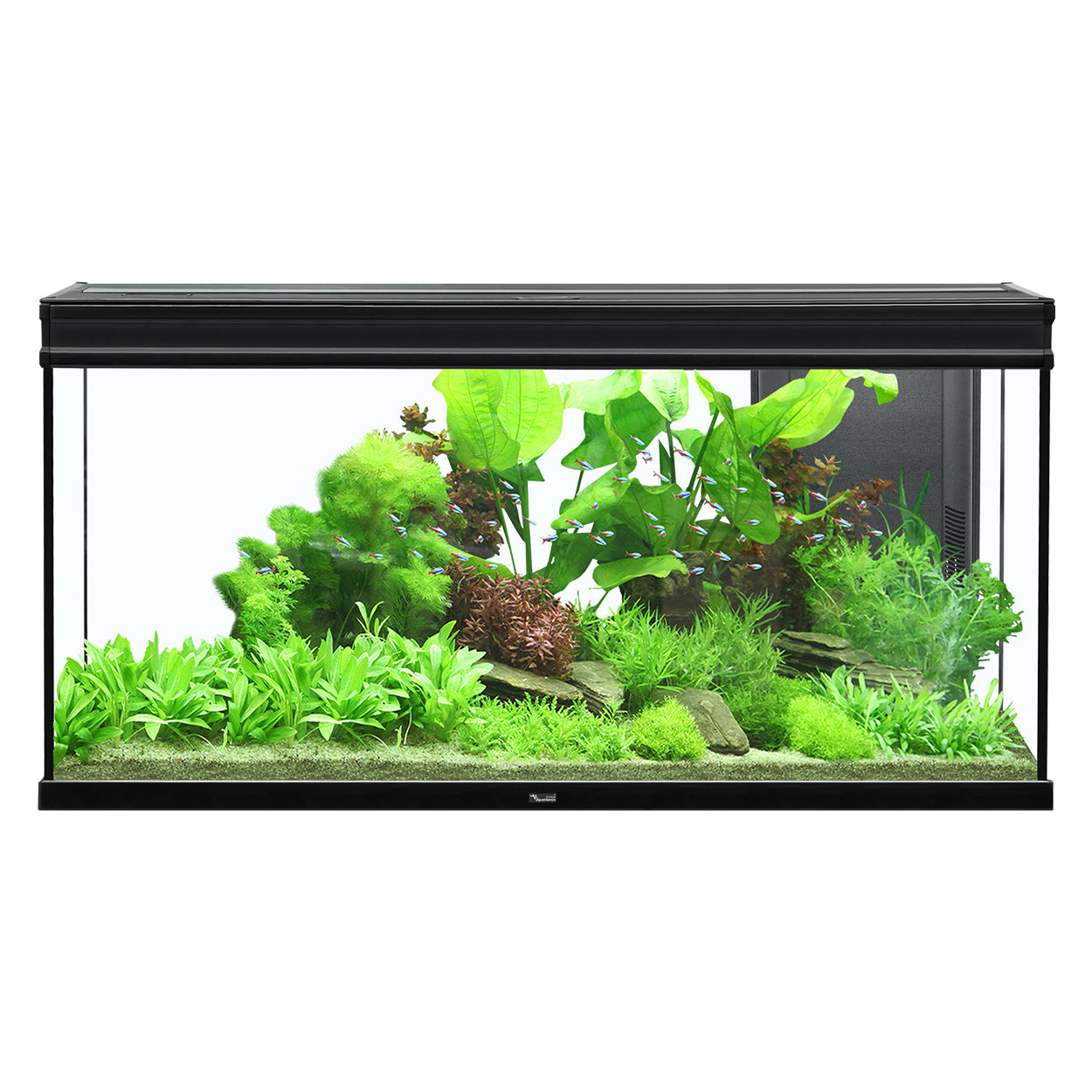 Aquarium Aquatlantis Elegance Expert