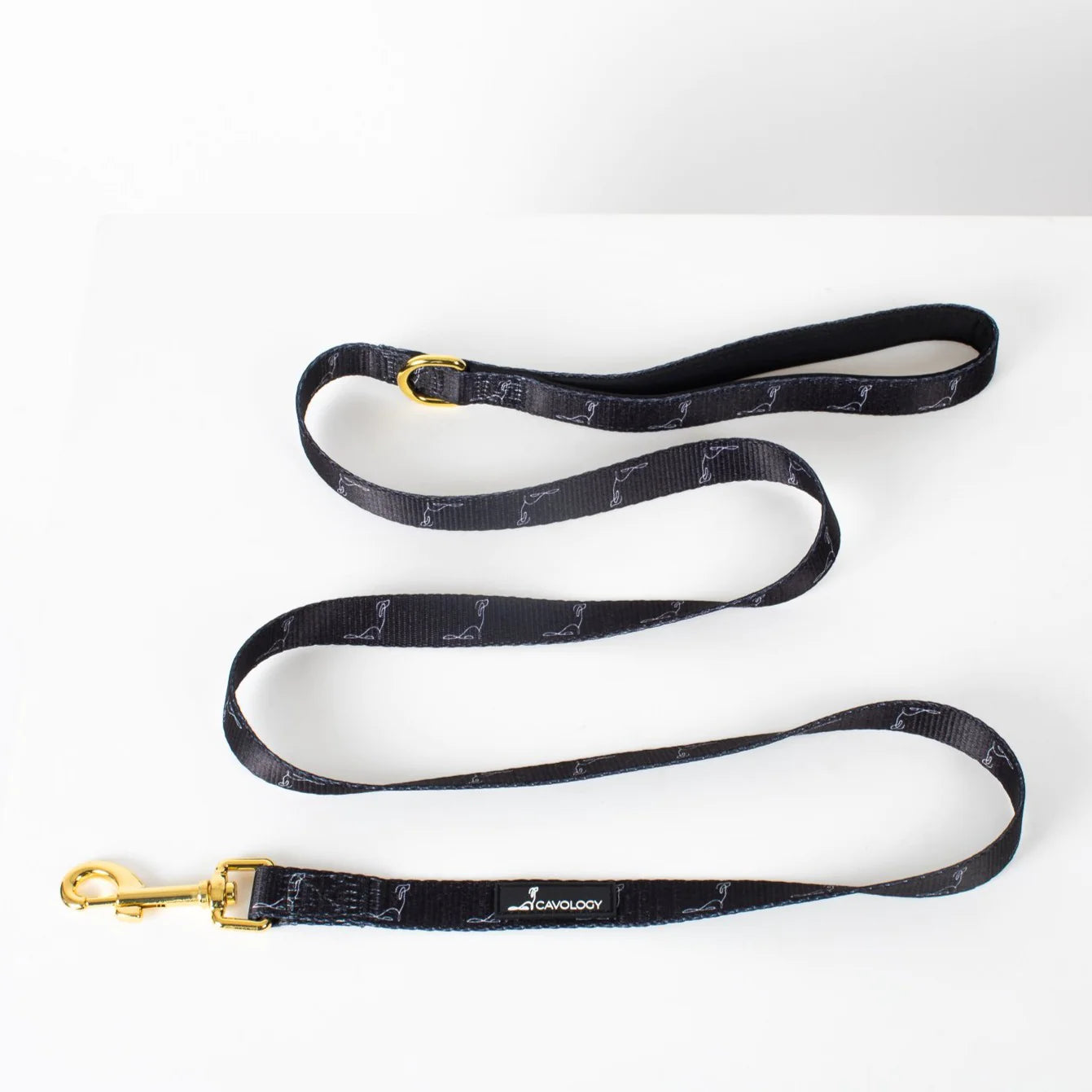 Cavology - La Laisse Noire Classique - 5 pieds