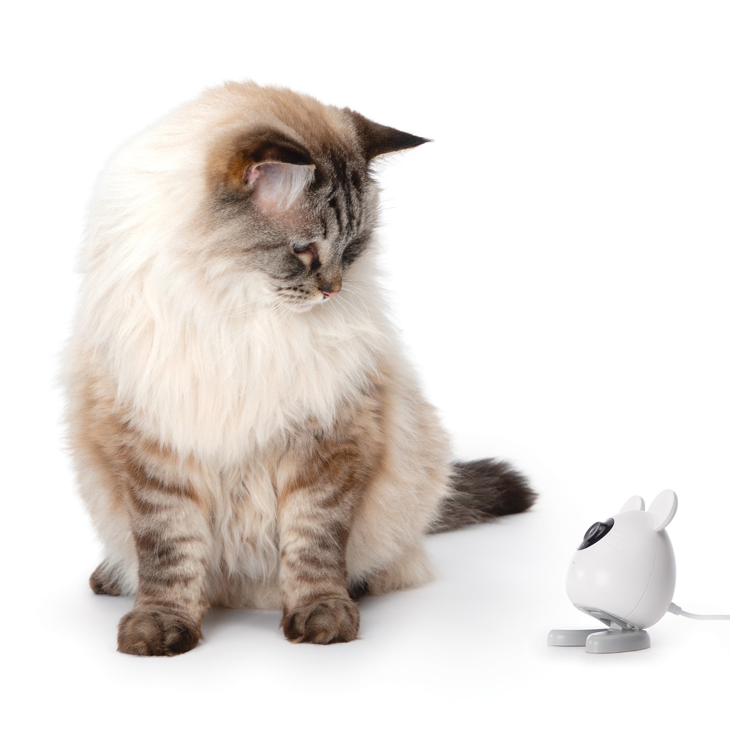 Caméra-souris intelligente Catit PIXI