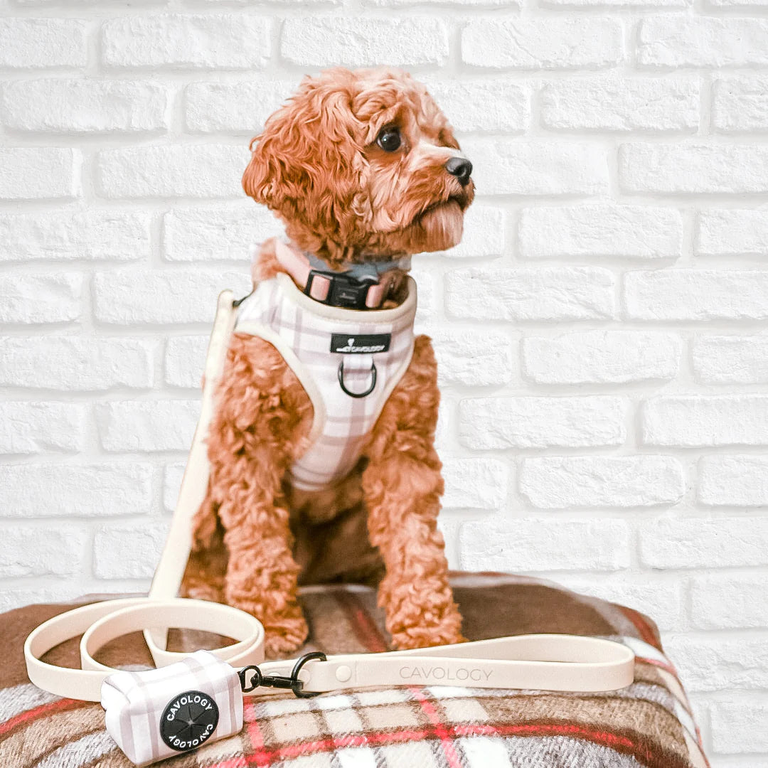 Cavology - Harnais Veste à Carreaux