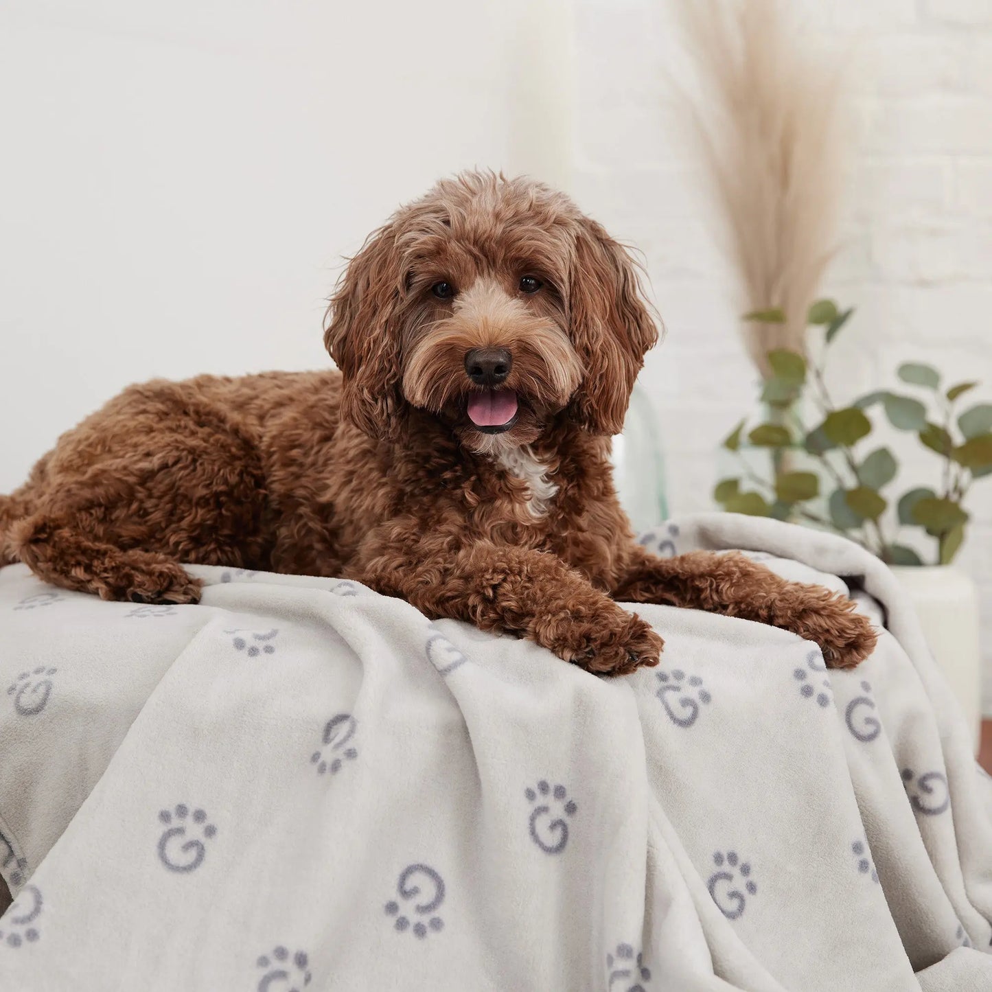 GFPET - Couverture douillette
