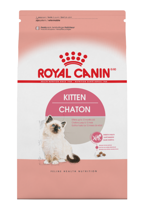 Royal Canin Chaton