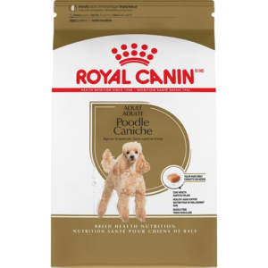 Royal canin Caniche