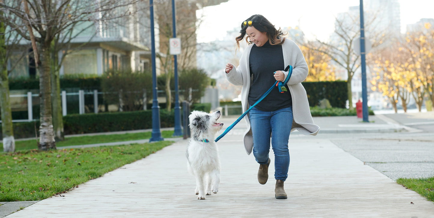 Laisse Bungee 1 po x 4 pieds