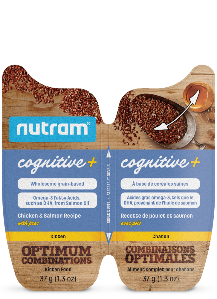 Nutram - Nourriture humide pour chaton Cognitive+