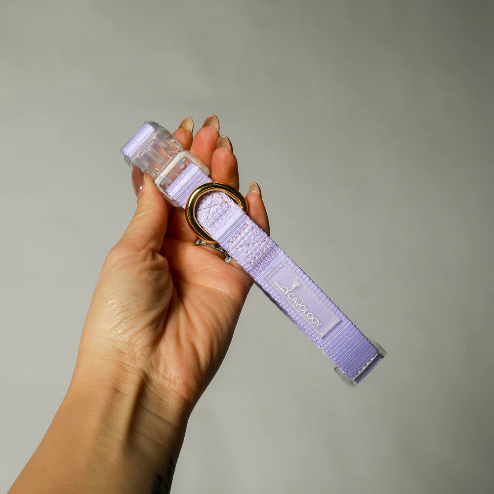 Cavology - Collier Lilas et Or