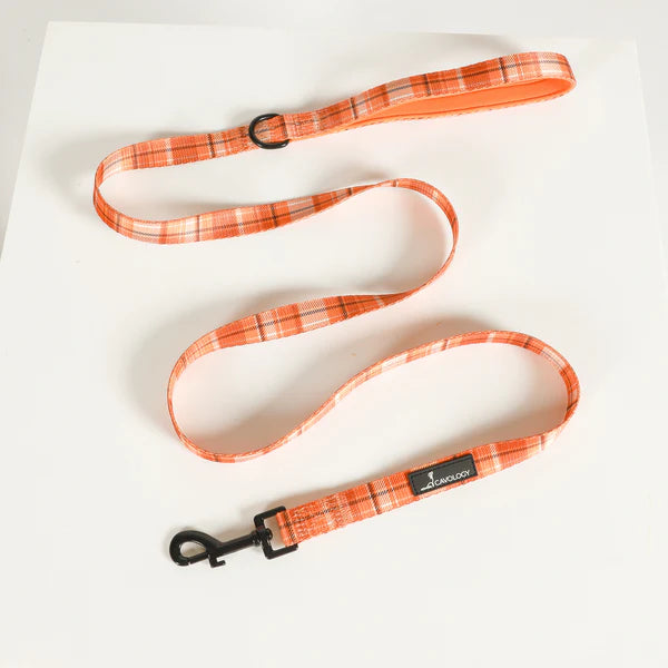 Cavology - Laisse - 5 pieds