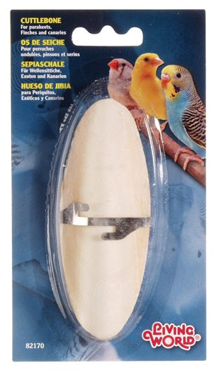 Os de Seiche Petit