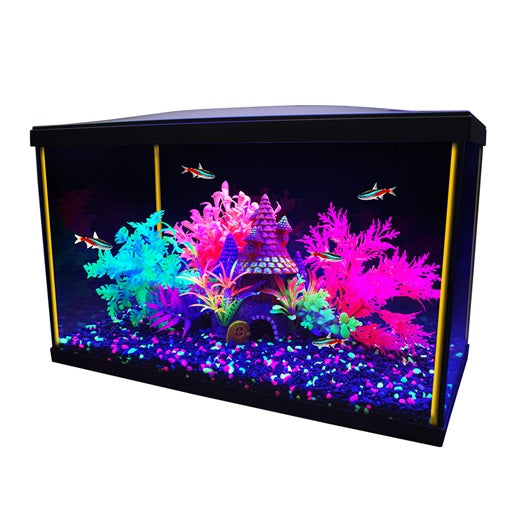 Marina - Aquarium équipé iGlo - 5 Gal