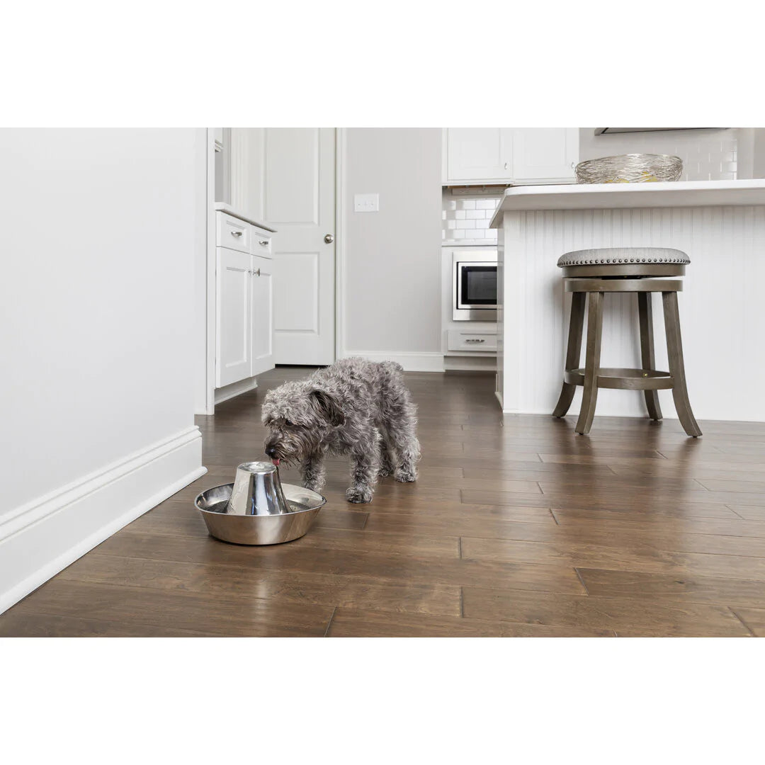 Fontaine en acier inoxydable Petsafe