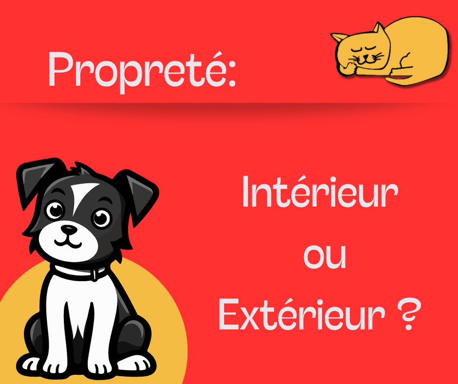 Chiot : La propreté