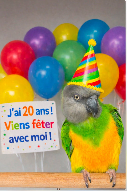 Kiwi fête ses 20 ans !