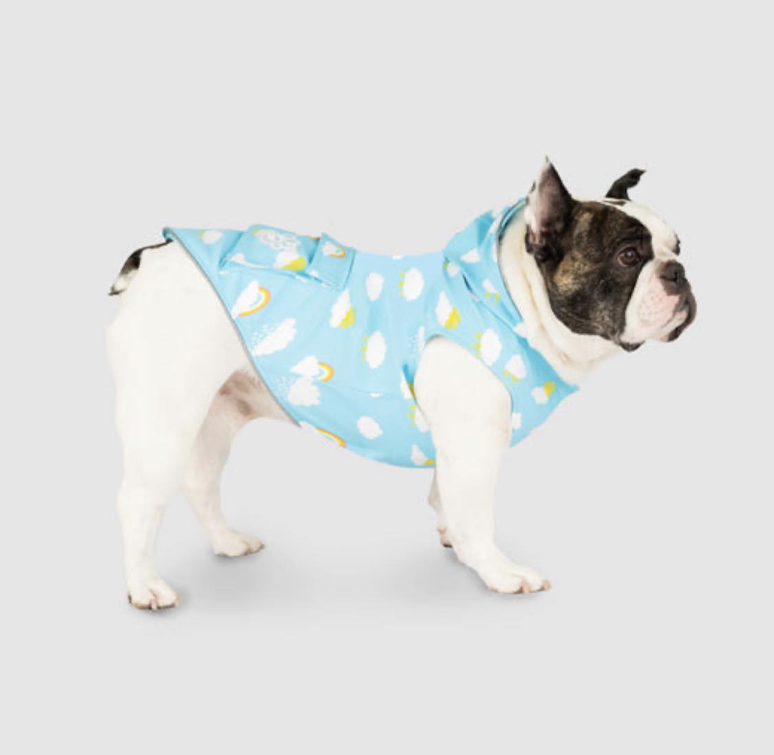 Canada Pooch - Imperméable Torrentiel