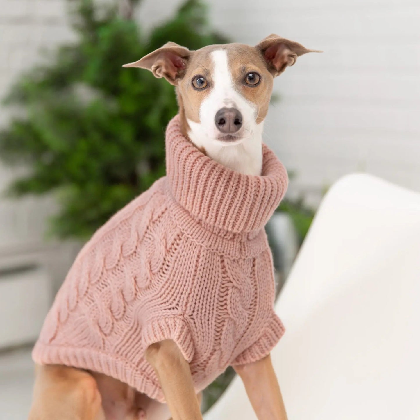 GF Pet - Chandail de laine - Rose