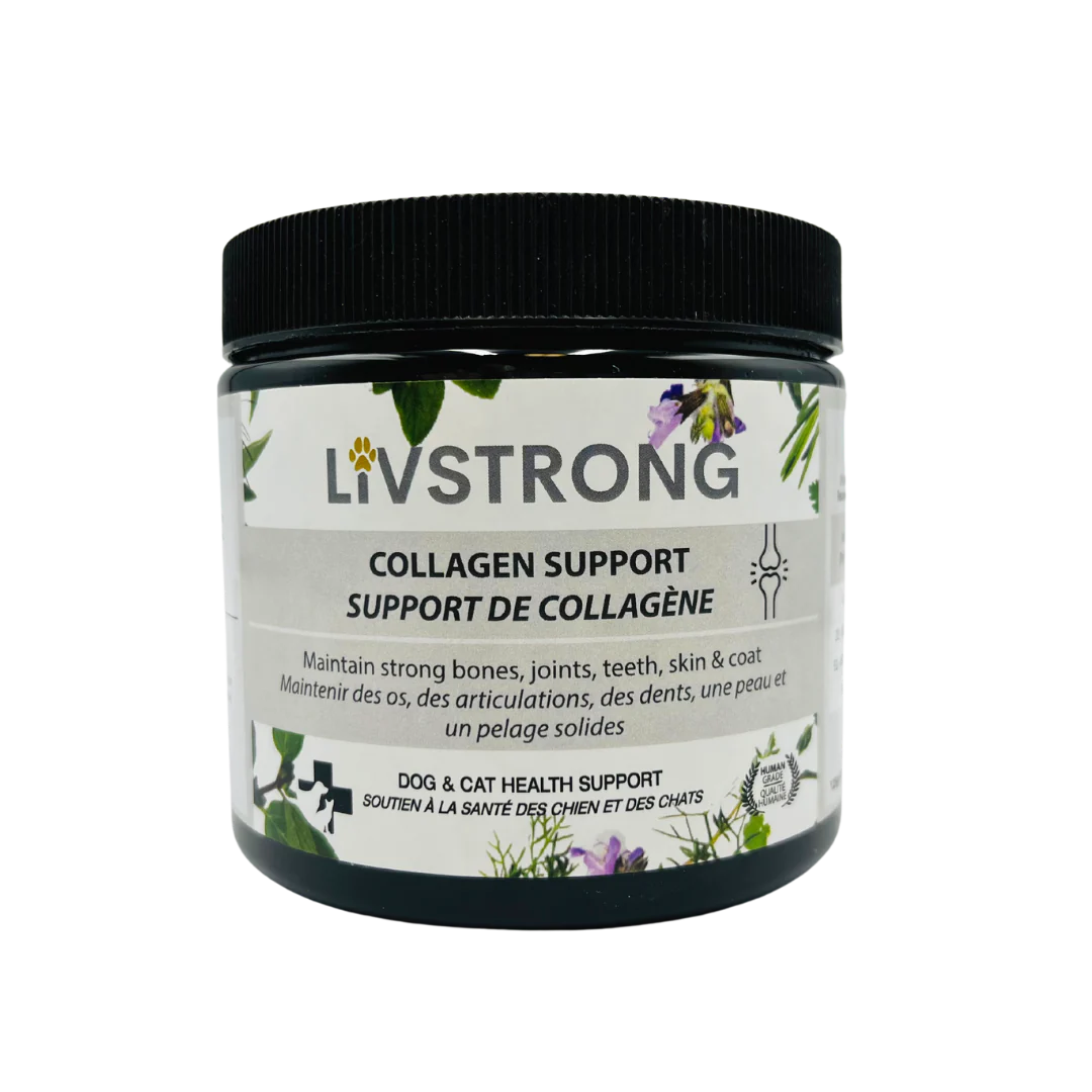 Support de Collagène Livstrong 125 G