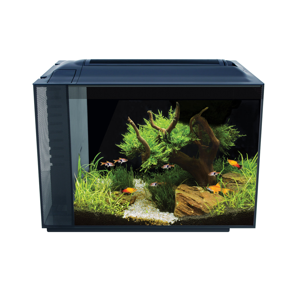 Aquarium équipé SPEC Fluval 16G