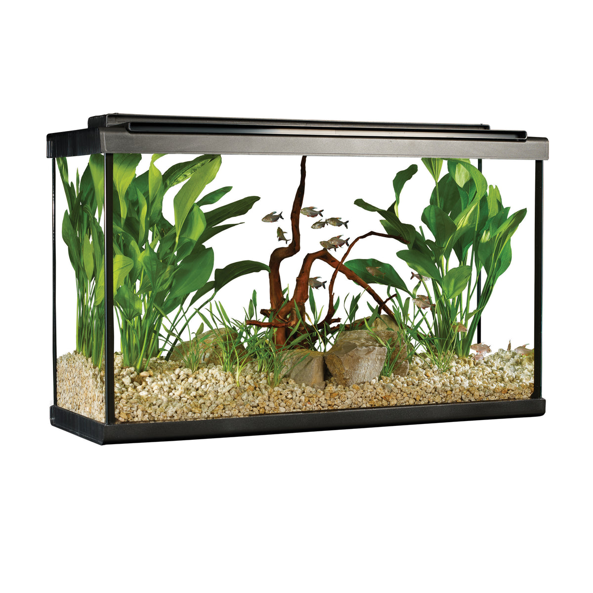 Aquarium équipé haut de gamme 29g Fluval