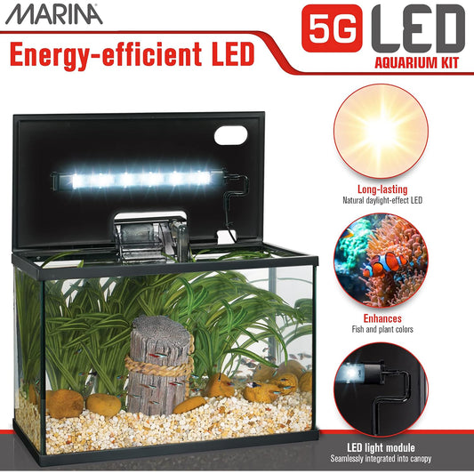 Marina - Aquarium équipé 5 gal