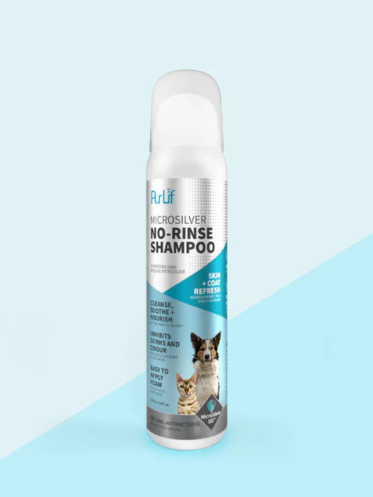 Shampoing Sec avec MicroSilver