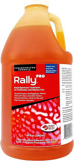 Rally Pro 1892 mL