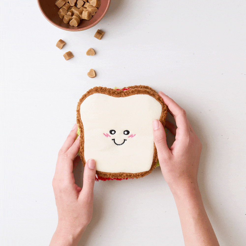 Le Sandwich