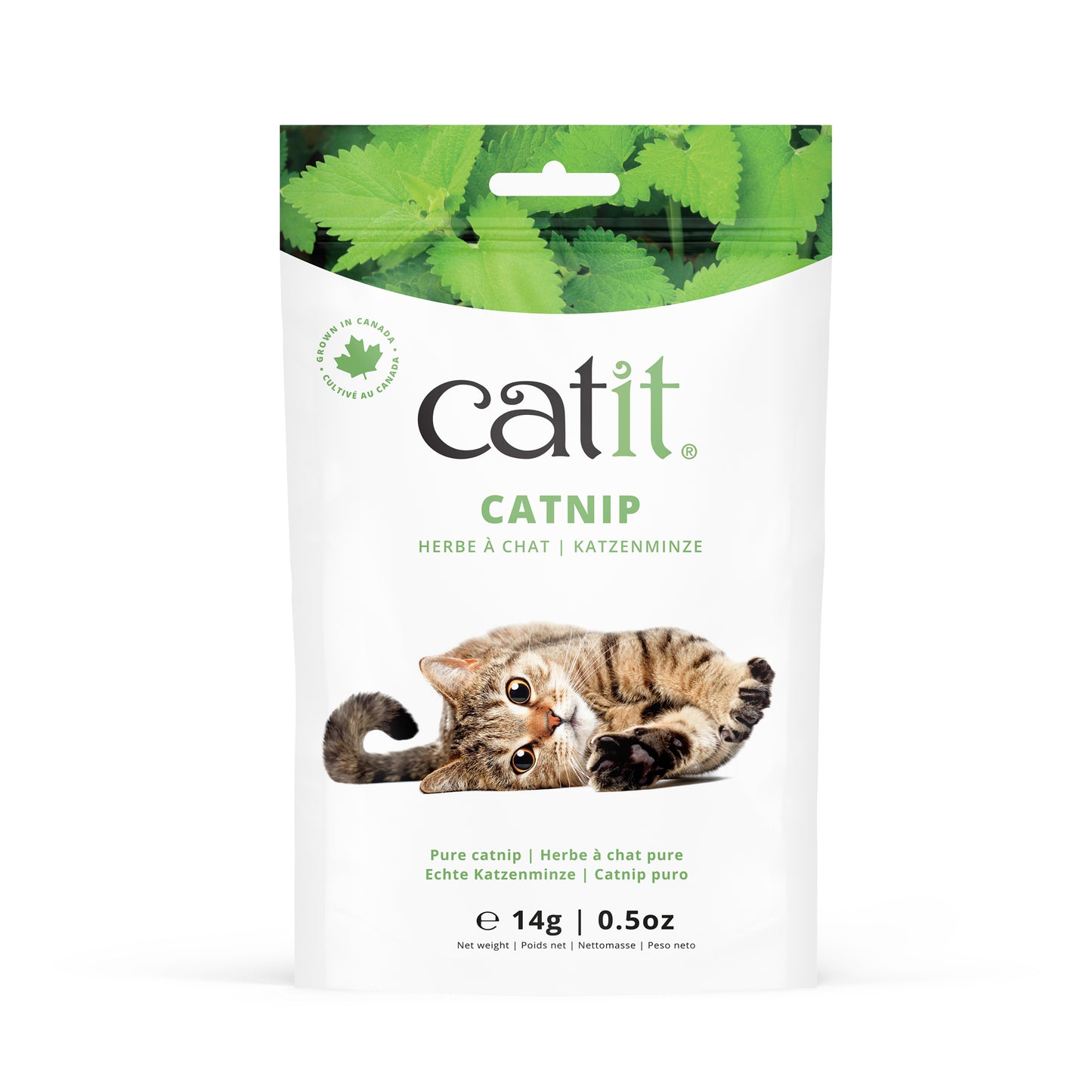 Herbe à chat Catit 14 G