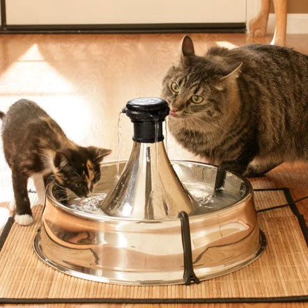 Fontaine Drinkwell 360 en Stainless