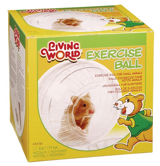Living World - Balle d'exercice - Moyenne