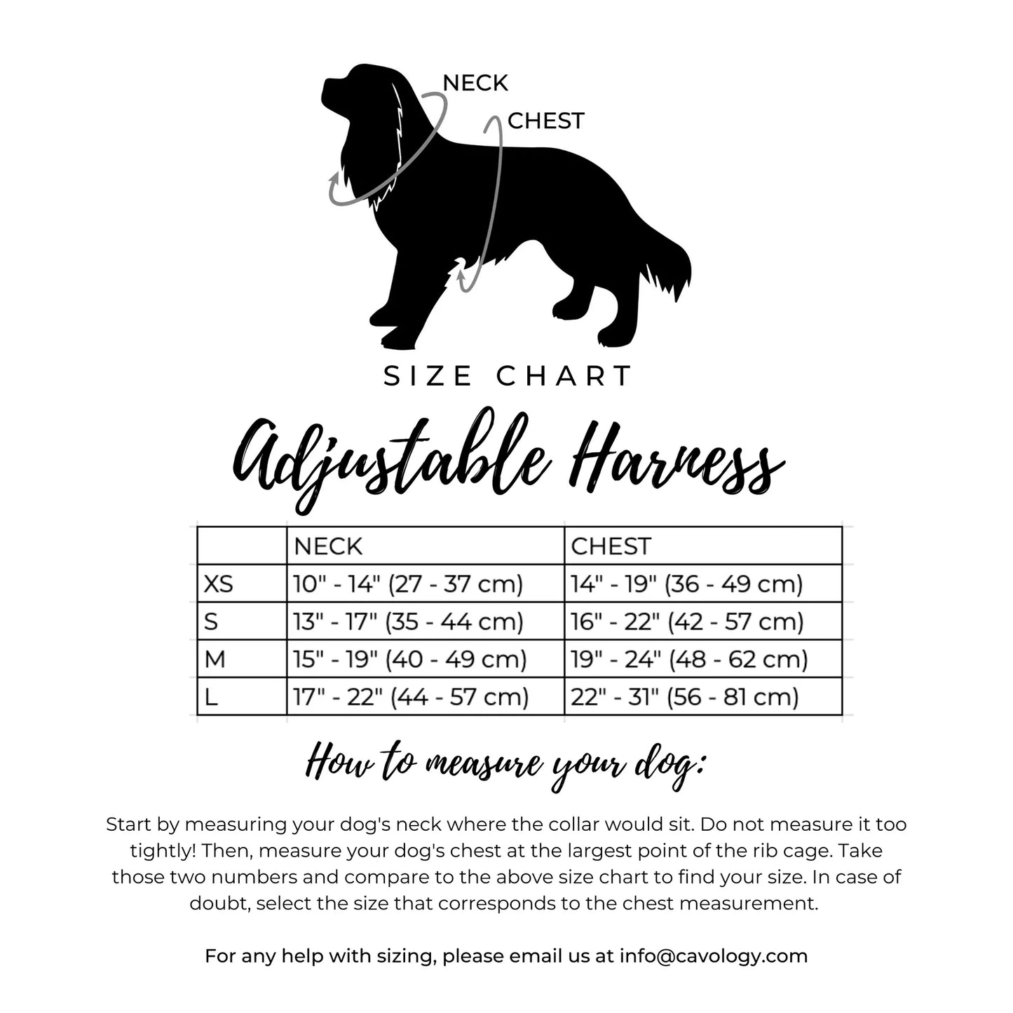 Cavology - Harnais Ajustable