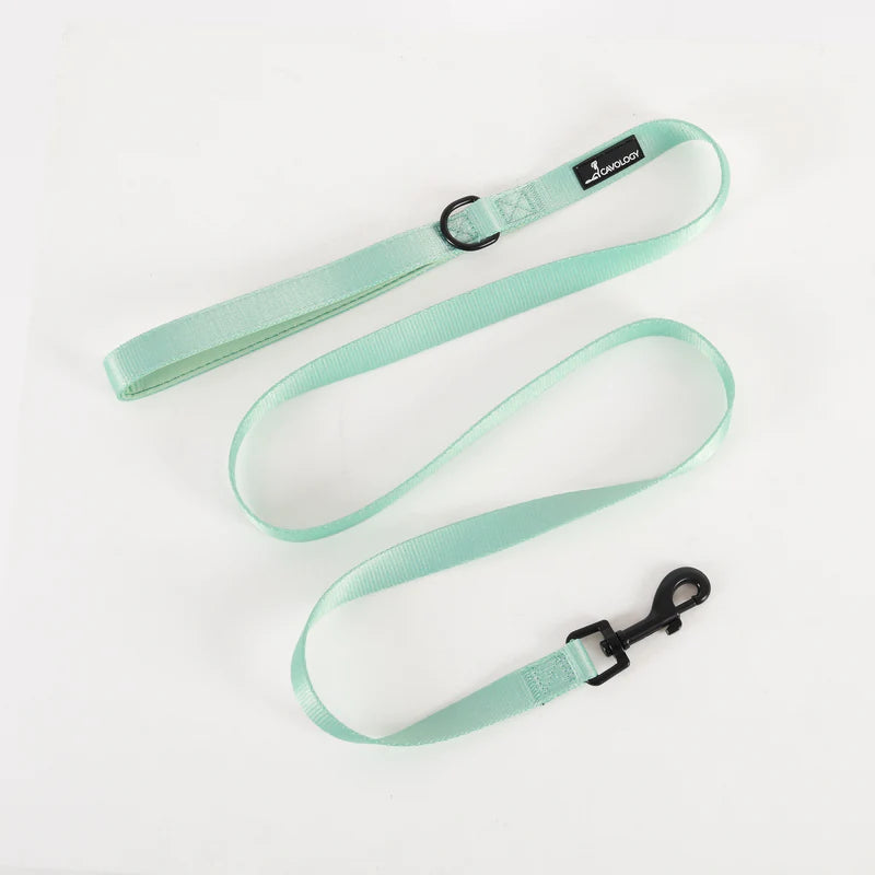 Cavology - Laisse - 5 pieds