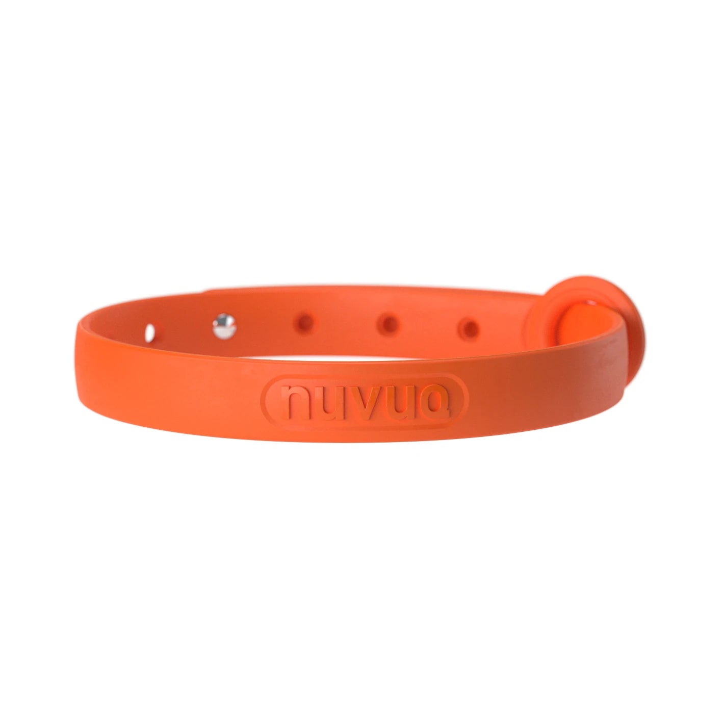Collier Nuvuq ajustable pour chat