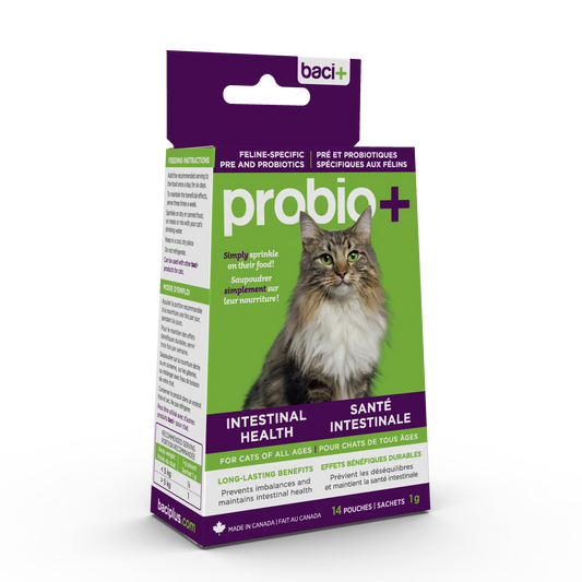 Probio+ Pré et probiotiques | Chats