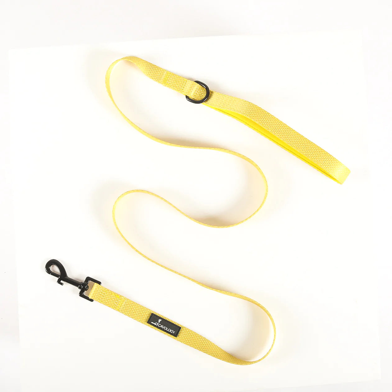 Cavology - Laisse - 5 pieds