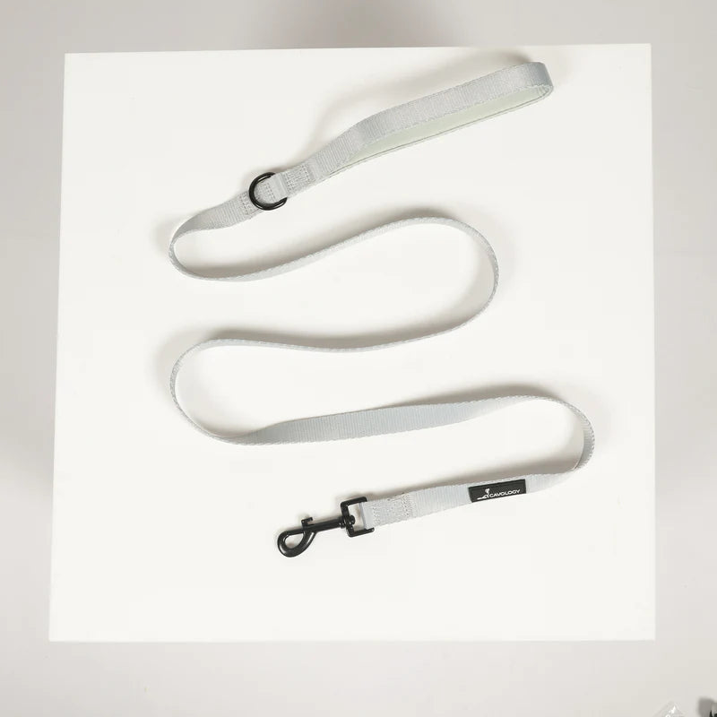 Cavology - Laisse - 5 pieds