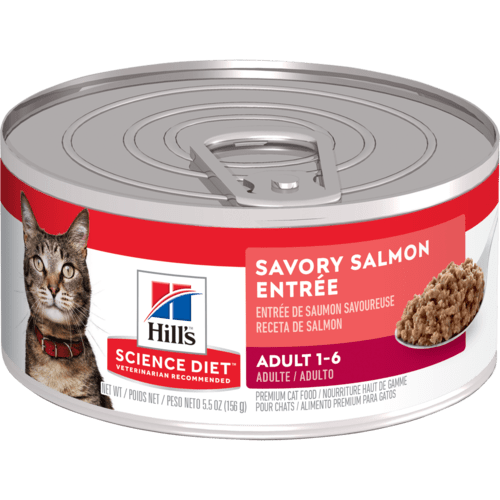 Hill's Science Diet - Entrée de Saumon - 5.5 oz