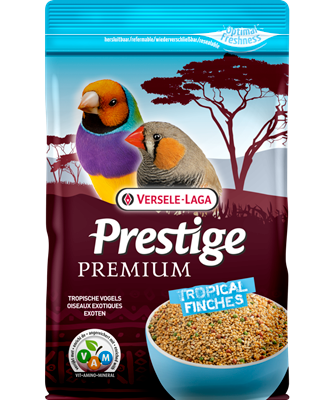 Prestige Pinson Versele Laga 800G